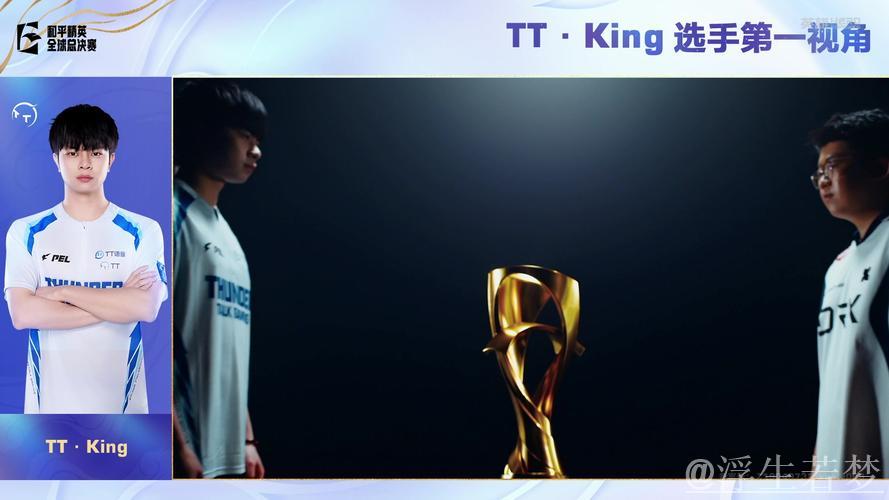 2025PMGC决赛第二天:TT-King第一视角(LGD-猫猫助阵) 2025PMGC决赛第二天:TT-King第一视角(LGD-猫猫助阵)